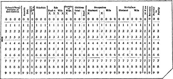 Fertility Hollerith Card (Figure 3)